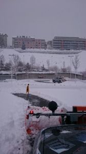 Winter_1.jpg