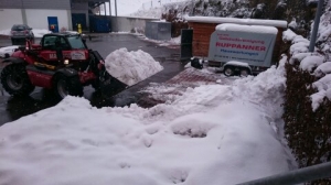 Winter_3.jpg